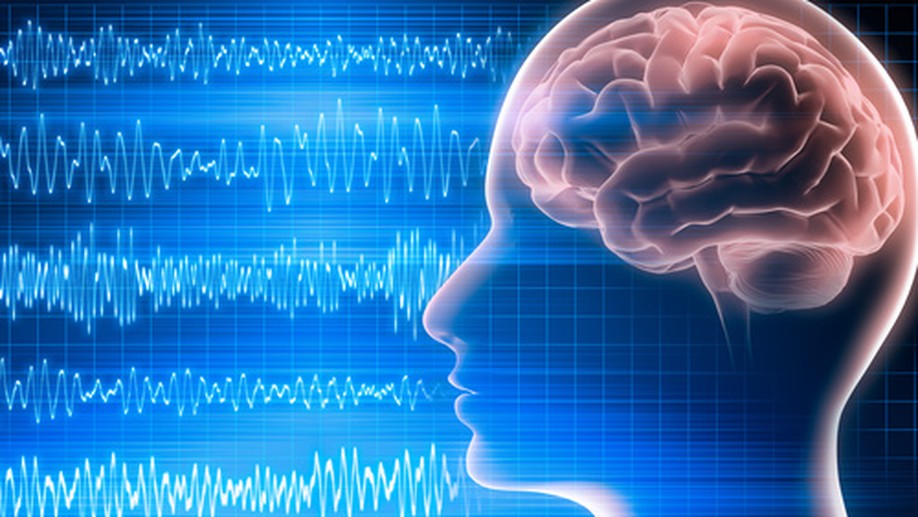 Are Online Co-adaptive Sensorimotor Rhythm Brain-Computer Interface Training Paradigms Effective?